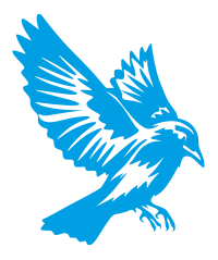bird bird